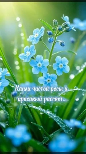 🥰 Оставляйте реакции, если понравилась открытка и делитесь с близкими ❤️