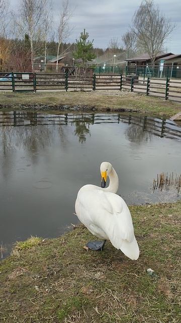 Самому неловко стало от своего восклика