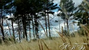 За тихой рекою