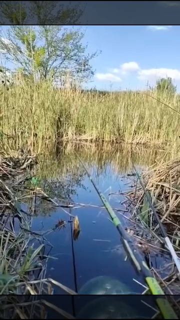 рыбалка смотреть онлайн