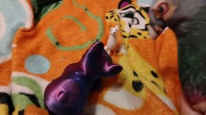 завели ещё одну собаку 🐶 🐾🐕Милка и майк-игрушечные птицы и весёлые мультики видео чижик Милка и е