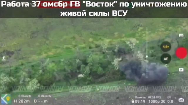 ‼️Кадры тотального истребления 