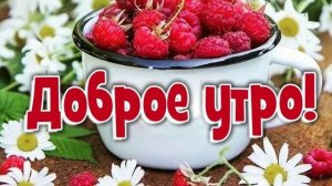 С добрым,летним утром!