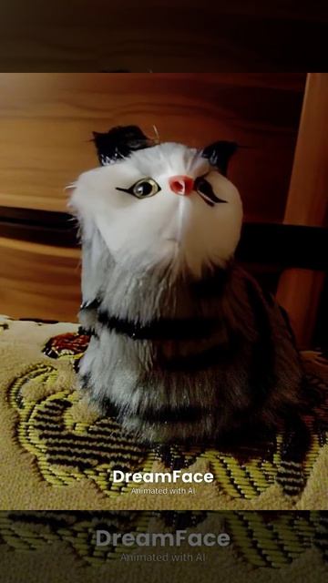 кот