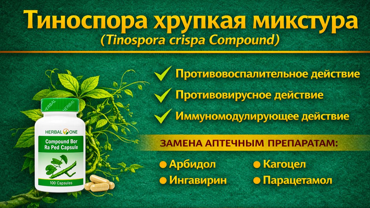 Тиноспора хрупкая микстура (Tinospora Crispa Compound) капсулы