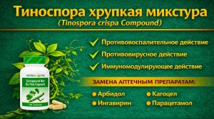 Тиноспора хрупкая микстура (Tinospora Crispa Compound) капсулы