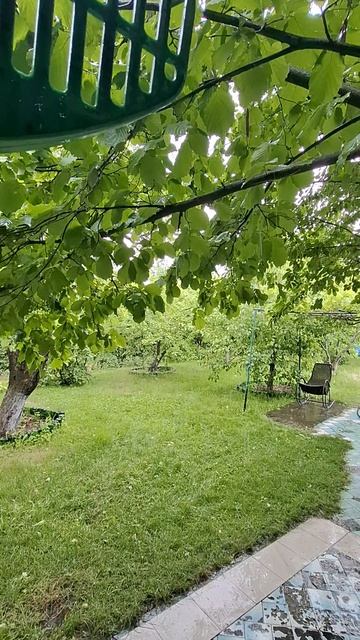 Деревенский дождь, который пахнет травой и свободой🏞После дождя: запах травы и мокрой земли❤️🔥