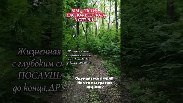 12-06-2026 смотреть онлайн