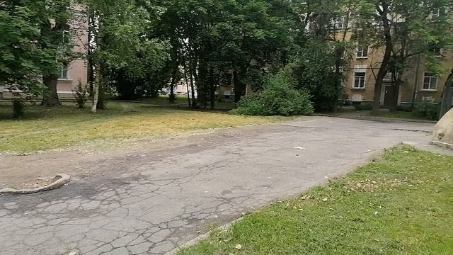 Утро Погода в Питере на 12 июня - День России