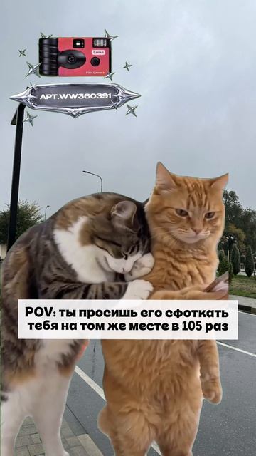 Плёночный фотоаппарат на 36 кадров (Артикул WB: #WW360391)💕
