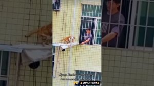 🎖️Благодарю тот день, момент  и час, когда КОГО- ТО  КТО - ТО   спасает из беды сейчас!!!✨