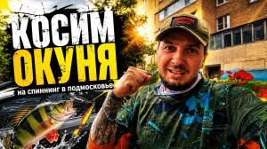 КОСИМ ОКУНЯ на спиннинг в Подмосковье. РЫБАЛКА С НОЧЕВКОЙ