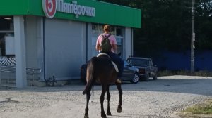 променад по Голубицкой