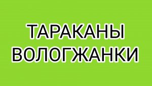 Ответка ДОМОСЕРА не заставила себя долго ждать