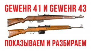 Gewehr G41 и G43: показываем и разбираем