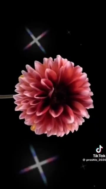 📹 Религия Ислам ☝️🕌🕋♥️♥️♥️ Намаз 🤲📿💚💚💚 Аллаху Акбар 🙏🥀🥀🥀🥀🥀🥀🥀🥀💯 🫶🫶🫶💞💞💞💞💞💞