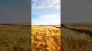 Ледниковый период 66 миллионов лет назад