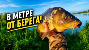 АМУРЫ выжирают БЕРЕГ. Такое раз в ЖИЗНИ!