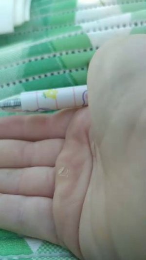 новая коллекция 💯💯