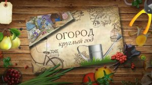 ОРГАНИКА ГОТОВА УКЛАДЫВАЕТСЯ ПЕРЕЦ