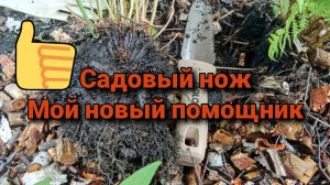 Садовый нож. Мой новый помощник.