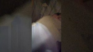 Лиля и Лёня смотрит всякие вещи за кроватью