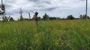 Металлокоп. Скромное завершение поиска по открытой местности. Одиннадцатый выезд. #90