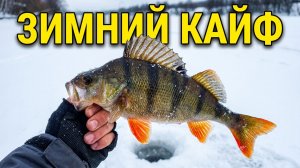 Песня зимняя рыбалка  ! С 23 февраля , мужики !
