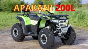 Обзор квадроцикла APAKANI HAMMER 200Long