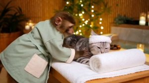 Приколы с котами! УГАРНЫЕ! Смешные коты! Самые смешные животные!