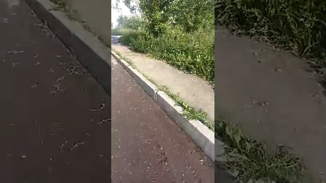 с праздником всех день России