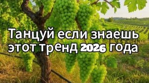 Танцуй если знаешь этот тренд 2026 года