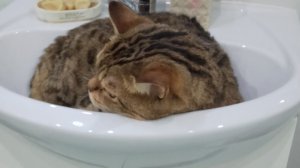 Мир денди но я на 3 акке