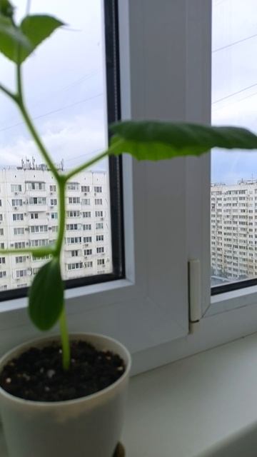 День 19 смотреть онлайн