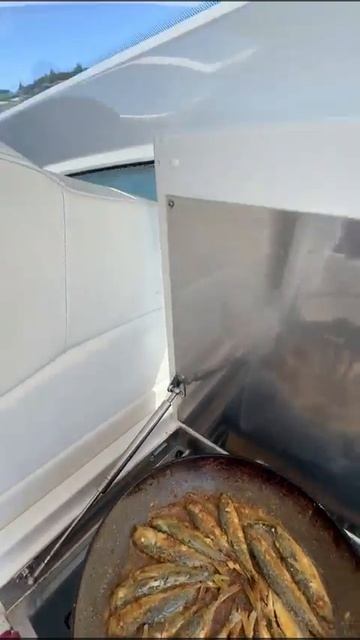 Рыбалка Геленджик