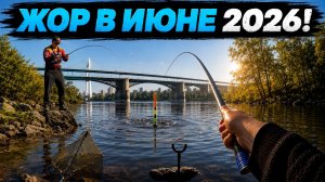 ЗАЛИВ У МОСТА УДИВЛЯЕТ! Только ЗАКИНУЛИ и клюёт МАХОМ! Рыбалка 2026!