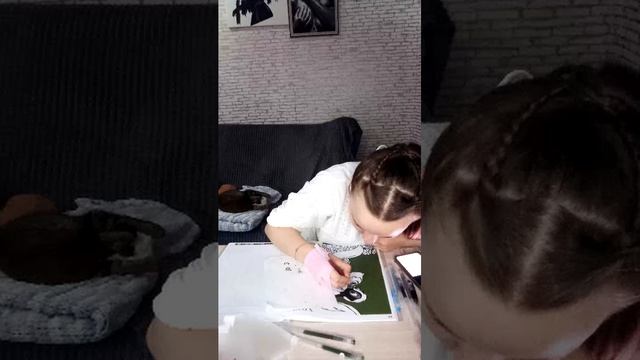 стрим) смотреть онлайн