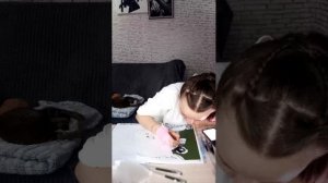 стрим)