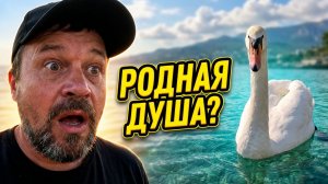 НЕВЕРОЯТНАЯ ВСТРЕЧА на море  в Евпатории ☝️