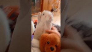 1000002401.mp4