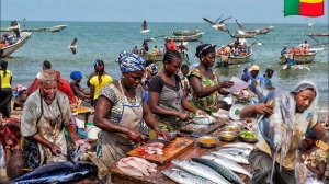 КРУПНЕЙШИЙ РЫНОК МОРЕПРОДУКТОВ В КОТОНУ, БЕНИН, ЗАПАДНАЯ АФРИКА. СТОИМОСТЬ СВЕЖЕЙ РЫБЫ.