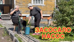 11/6 26 НА ТЕЛЕГЕ БЕЗ КОНДЁРА ВЕТРОМ ОБДУЕТ. ДАЧНЫЕ ПЛАНЫ. ЖИВЁМ НА БОЛОТЕ.