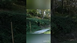 Остров Робинзона Крузо.Куда ведут дороги?