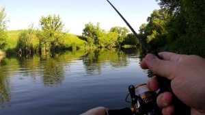 ОКУНЬ С ПЕРВОГО ЗАБРОСА 🐟