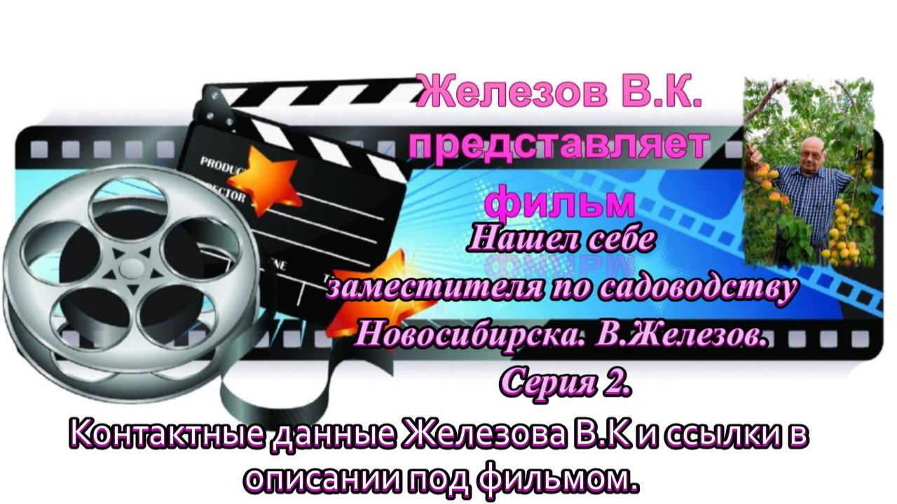 Нашел себе заместителя по садоводству Новосибирска. В.Железов. Серия 2.