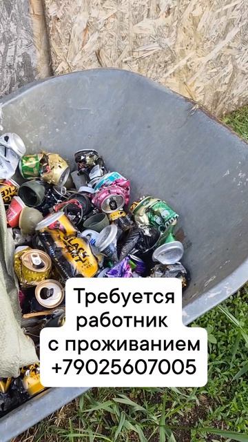 Работа_с_проживанием_5