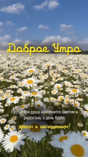 🥰 Оставляйте реакции, если понравилась открытка и делитесь с близкими ❤️