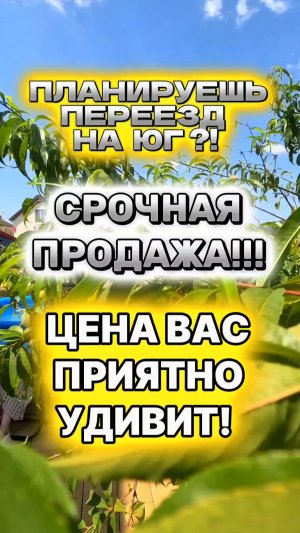 Планируешь переезд на юг?! Срочно! Цена Вас приятно удивит!!! #купитьдом #домуморя #анапа #домнаюге