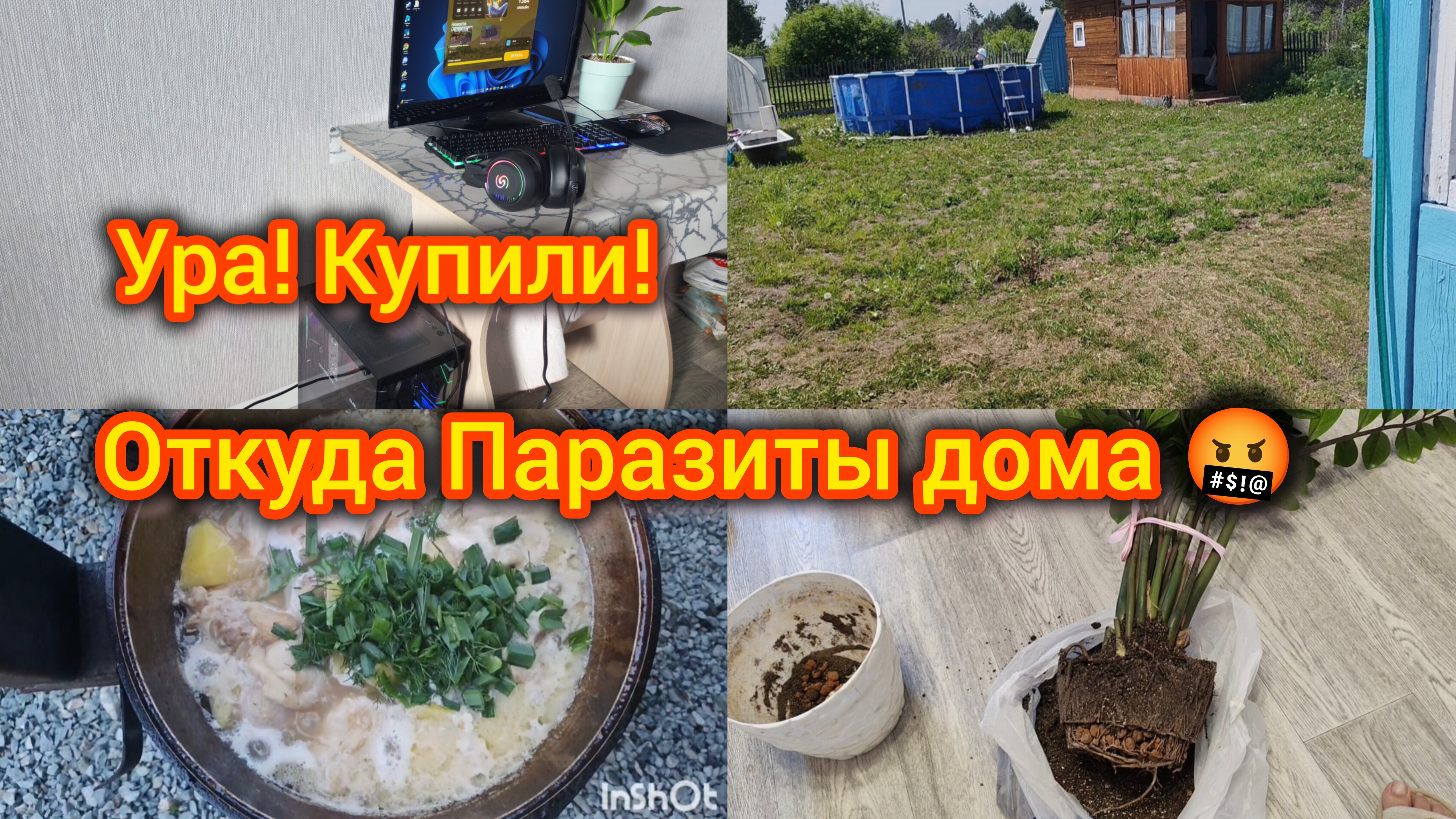 Дачно-Домашний Влог. Купили дорого. Домашние хлопоты. Откуда завелись Паразиты 🤬 смотреть онлайн