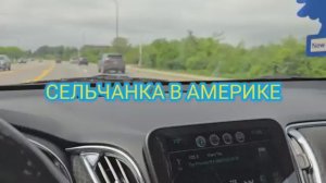Сельчанка в Америке НАШЛА ЩАВЕЛЬ В АМЕРИКЕ